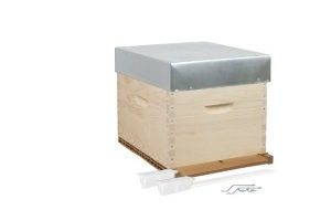 Hive-a-tenon-Dadant-10-frame-without-frame-ni-hausse-eco