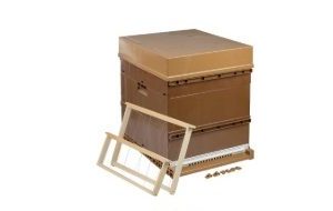Ruches en plastique