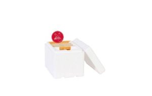 mini nucléi le parfait polystyrène