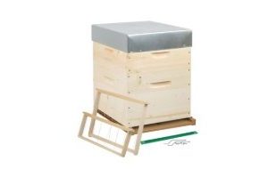 hive dating 10 frames half wood with anti varroa plastic tray, rise and rucheco straight frames