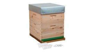 Light-duty hive Dadant 10 frames - CRYPTOlight
